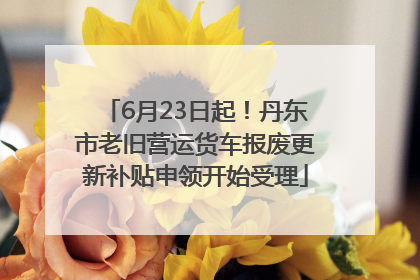 6月23日起！丹东市老旧营运货车报废更新补贴申领开始受理