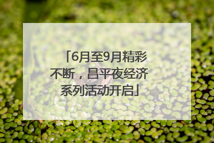 6月至9月精彩不断，昌平夜经济系列活动开启