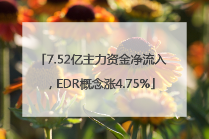 7.52亿主力资金净流入，EDR概念涨4.75%