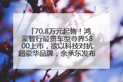 70.8万元起售！鸿蒙智行最贵车型尊界S800上市，欲以科技对抗超豪华品牌，余承东发布会未提及迈巴赫