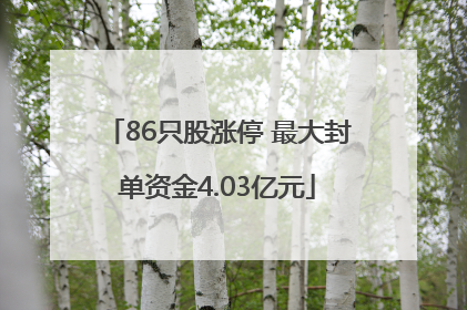 86只股涨停 最大封单资金4.03亿元