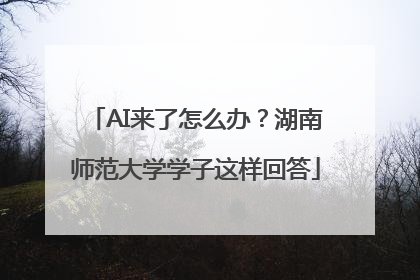 AI来了怎么办？湖南师范大学学子这样回答