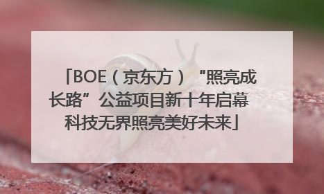 BOE（京东方）“照亮成长路”公益项目新十年启幕 科技无界照亮美好未来