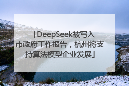 DeepSeek被写入市政府工作报告，杭州将支持算法模型企业发展