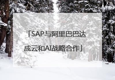 SAP与阿里巴巴达成云和AI战略合作