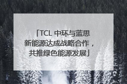 TCL 中环与蓝思新能源达成战略合作，共推绿色能源发展